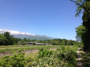 IMG_3440