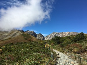 img_0249