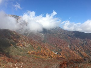 img_2038