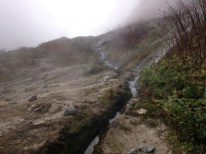 img_4018